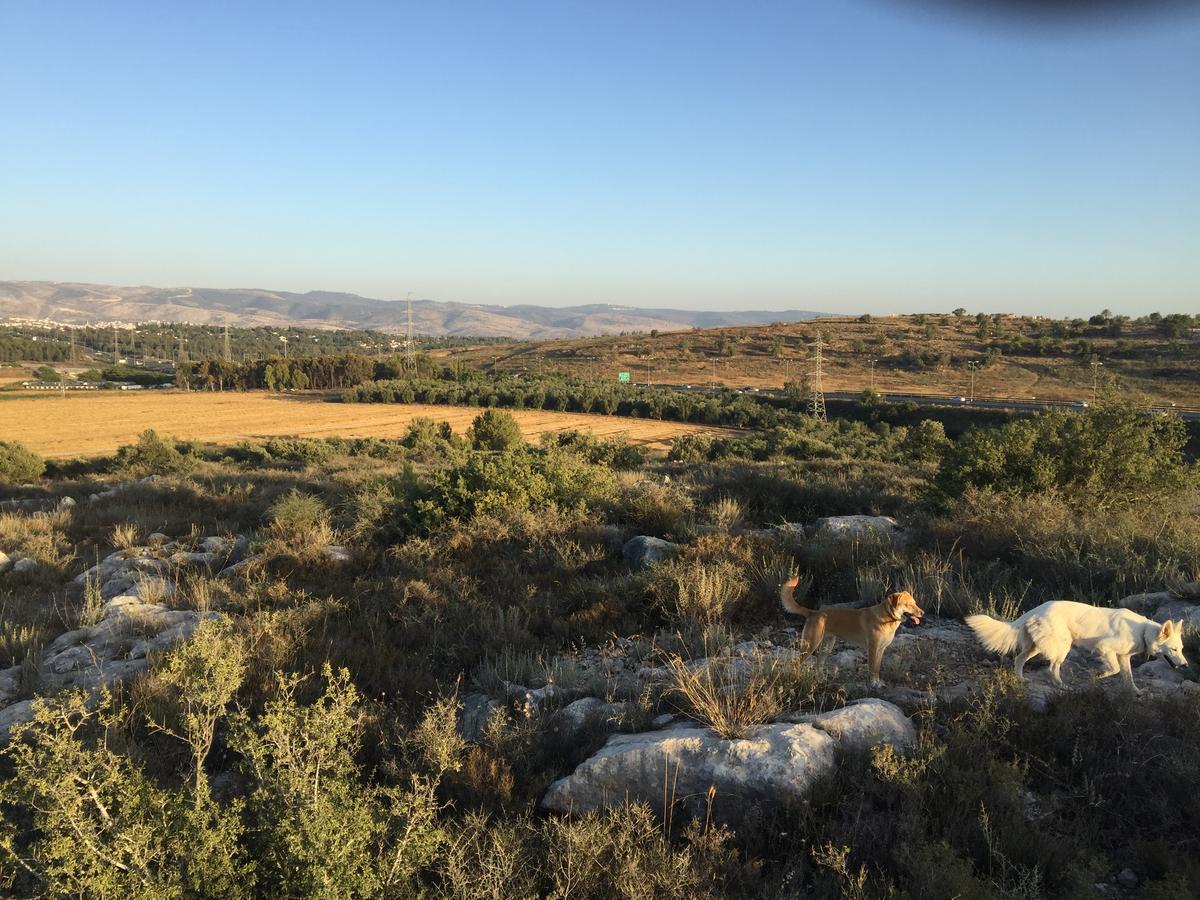 Villa Peace Tent Kfar Rut Exterior foto